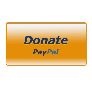 Paypal button 300 x 300.jpg