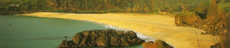 Hawaii beach.jpg
