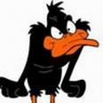 Daffy2.jpg