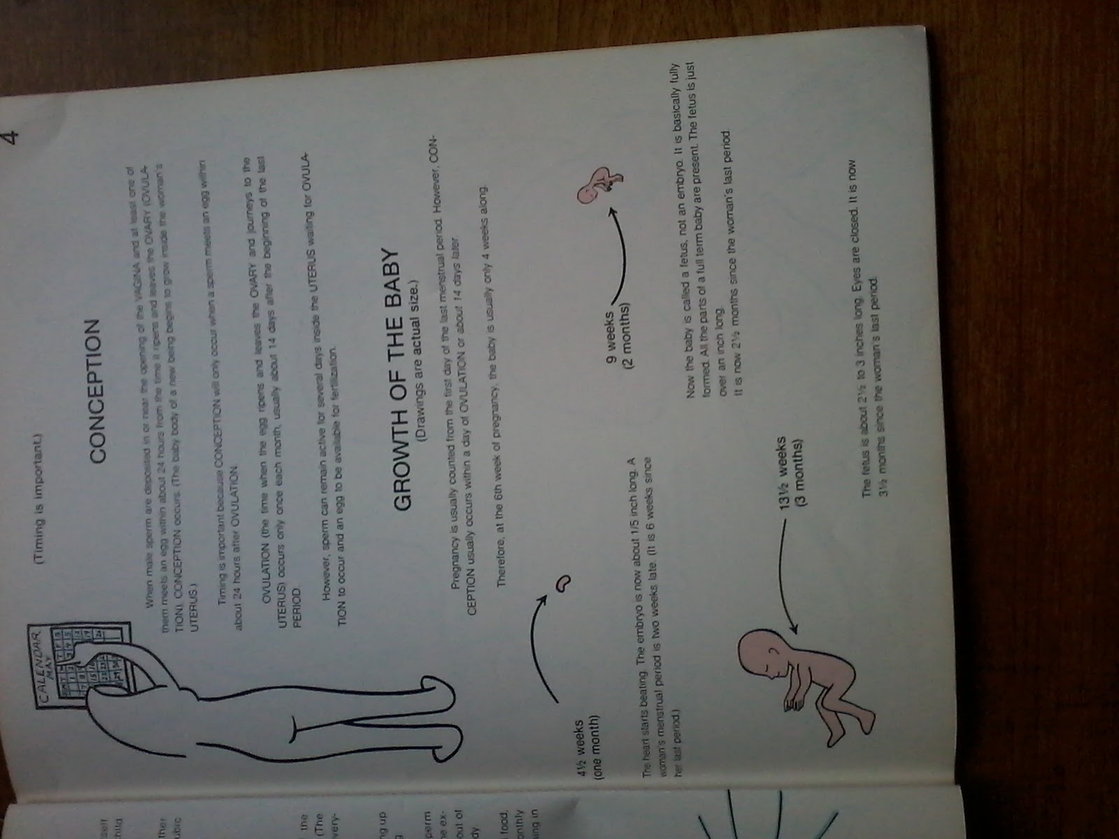 Thumbnail for version as of 13:43, February 26, 2016