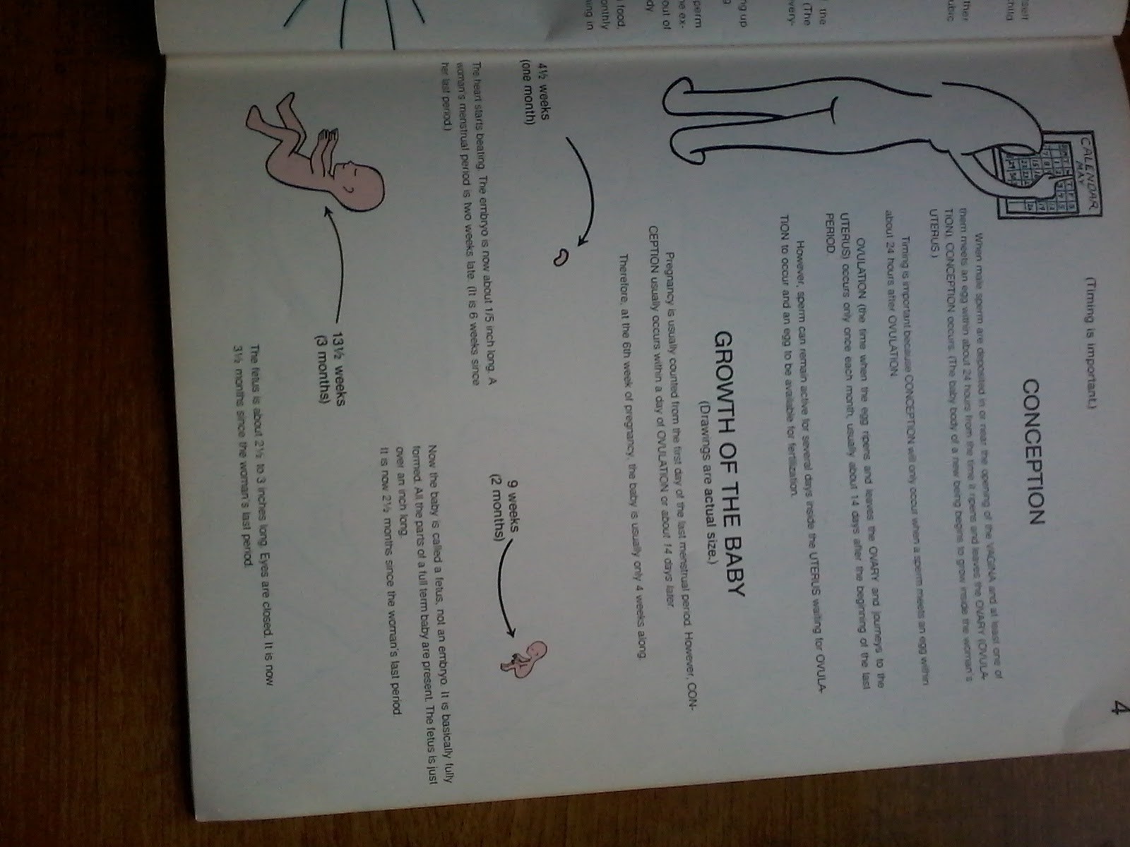 Thumbnail for version as of 14:04, February 26, 2016