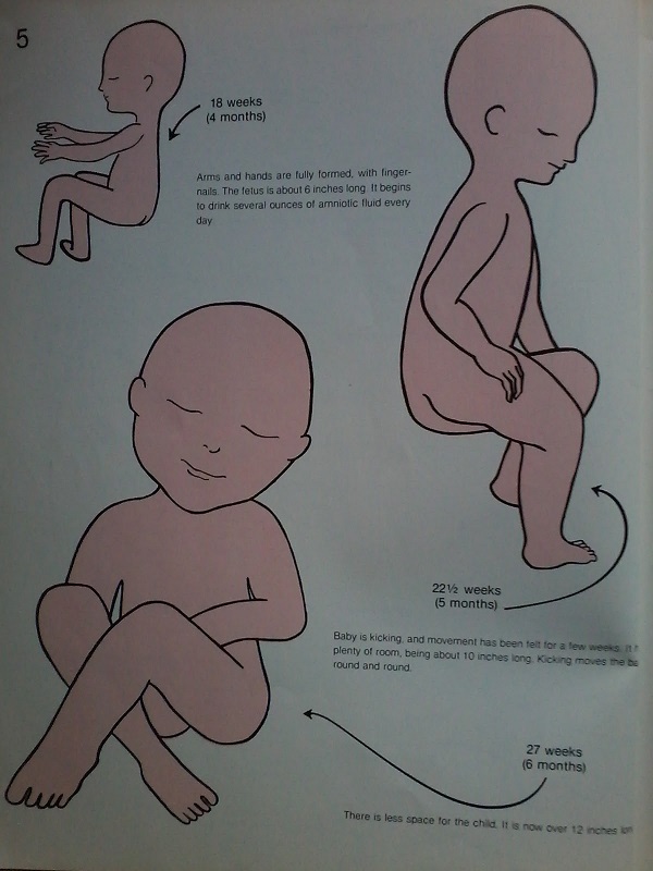 Thumbnail for version as of 18:06, February 27, 2016