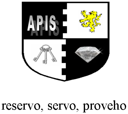 APIS Logo.png